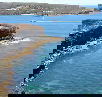 Half day Manly Beach and more - Pubs and Clubs