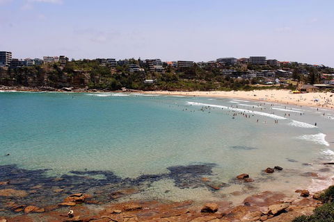 Half Day Manly Beach And More - Go Out 2