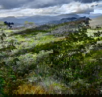 3-Day Tour to the Falls Mountains Lake  More of West Coast Tasmania - Pubs and Clubs