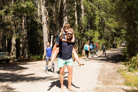 7-Day Best Of Tasmania Adventure Experience From Hobart (flexible Ticket) - Pubs and Clubs 5