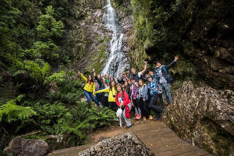 5-Day Lap Of Tasmania Tour From Hobart (flexible Ticket) - Go Out 0