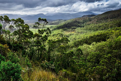 5-Day Lap Of Tasmania Tour From Hobart (flexible Ticket) - Go Out 2