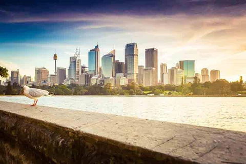 Private Sydney City And Bondi Beach Half Day Tour - Pubs and Clubs 2