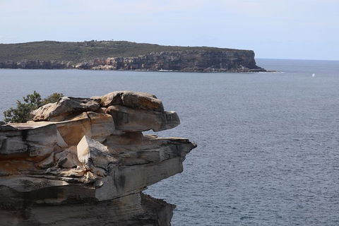 Private Sydney City And Bondi Beach Half Day Tour - Pubs and Clubs 3