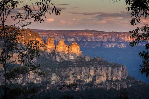 Private Blue Mountains Tour With Kangaroo And Koala Experience - Go Out 1