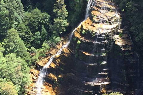 Private Blue Mountains Tour With Kangaroo And Koala Experience - Go Out 5
