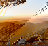 O'Reilly's  Lamington National Park incl. Alpaca Farm  Vineyard - Pubs and Clubs