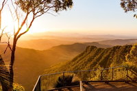 O'Reilly's  Lamington National Park incl. Alpaca Farm  Vineyard, Surfers Paradise