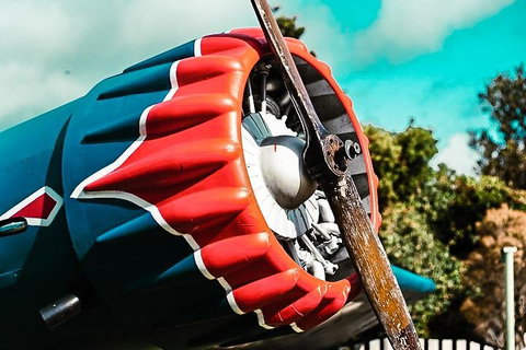 O'Reilly's & Lamington National Park Incl. Alpaca Farm + Vineyard - Go Out 1