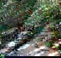 Fraser Island 4WD Tour from Rainbow Beach - Pubs and Clubs