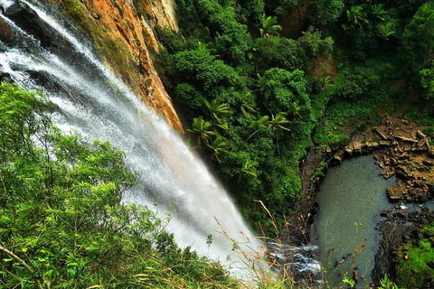Rainforest & Waterfalls Extravaganza - Pubs and Clubs 1