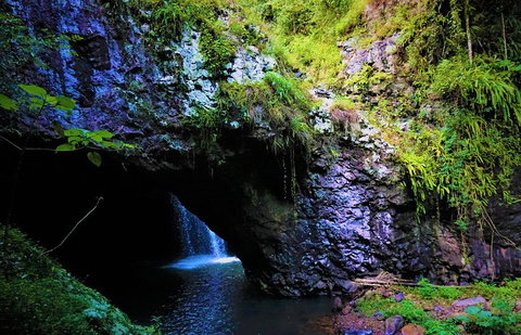 Rainforest & Waterfalls Extravaganza - Pubs and Clubs 5