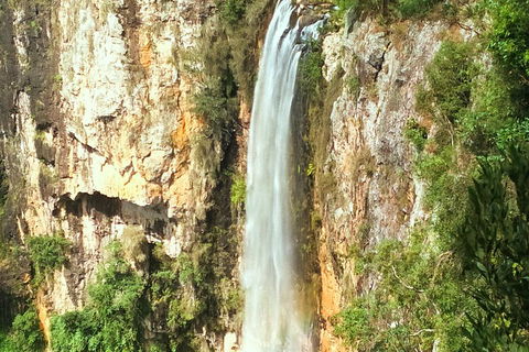 Natural Arch, Rainforest & Volcano Canyon - Private Half Day Tour - Pubs and Clubs 2