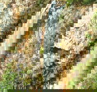 Private Tour - Rainforest  Waterfalls Extravaganza - Pubs and Clubs