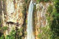 Private Tour - Rainforest  Waterfalls Extravaganza, Surfers Paradise