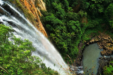 Private Tour - Rainforest & Waterfalls Extravaganza - Go Out 2