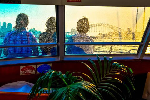 Sydney City Private Tour - Go Out 1