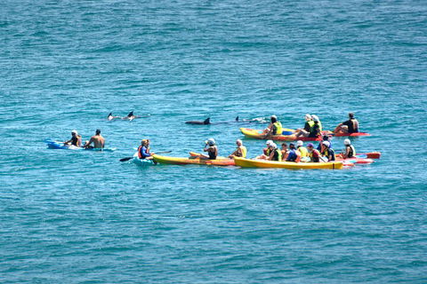 The Byron Bay Sea Kayak Tour - Pubs and Clubs 1