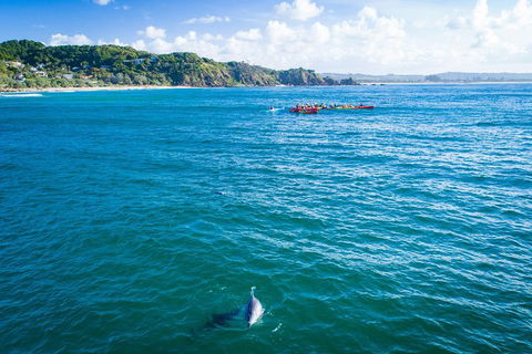 The Byron Bay Sea Kayak Tour - Pubs and Clubs 2