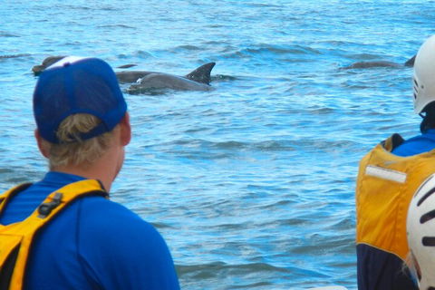 The Byron Bay Sea Kayak Tour - Pubs and Clubs 4