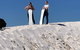 The Pinnacle Adventure Tour - thumb 3