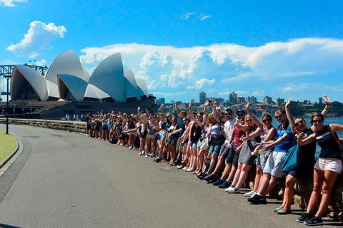 7-Day Tour In Sydney With Airport Pickup - Pubs and Clubs 3