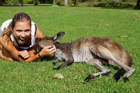 7-Day Tour In Sydney With Airport Pickup - Pubs and Clubs 4