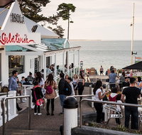 Phillip Island and French Island Wildlife Expedition - Pubs and Clubs