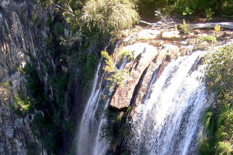 Byron Bay Combo: Hinterland Tour Including Minyon Falls And Kayaking With Dolphins - Go Out 3