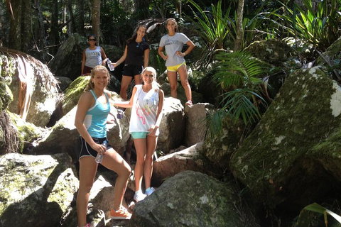 Byron Bay Combo: Hinterland Tour Including Minyon Falls And Kayaking With Dolphins - Go Out 4