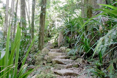 Byron Bay Combo: Hinterland Tour Including Minyon Falls And Kayaking With Dolphins - Go Out 5