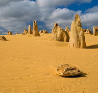 The Pinnacles Sea and Dunescapes Bush Reserve and Sunset Day Tour - Pubs and Clubs