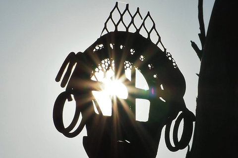 Wave Rock, Wild Flowers And Astro Photography - Go Out 4