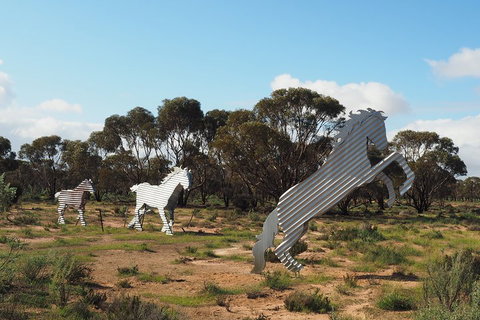 Wave Rock, Wild Flowers And Astro Photography - Go Out 5