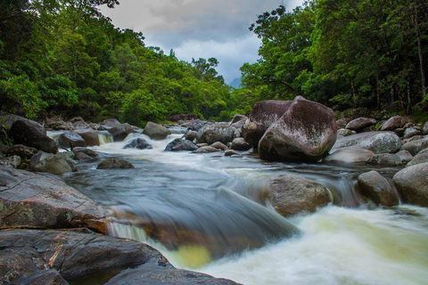 Cape Tribulation Day Tour - Go Out 0