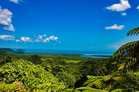 Cape Tribulation Day Tour - Go Out 3