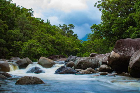 Cape Tribulation Day Tour - Go Out 4