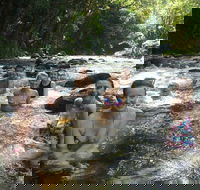 Daintree Rainforest Cape Tribulation Mossman Gorge Small-Group Day Tour - Pubs and Clubs