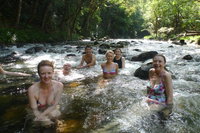 Daintree Rainforest Cape Tribulation Mossman Gorge Small-Group Day Tour, Port Douglas