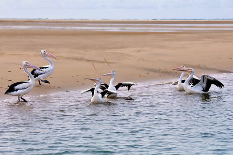 Town Of 1770 Afternoon Cruise - Pubs and Clubs 4