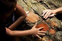 Ngana Julaymba Dungay - Full Day, Port Douglas