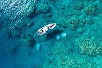 Book Viator Accommodation Vacations Pubs and Clubs Pubs and Clubs