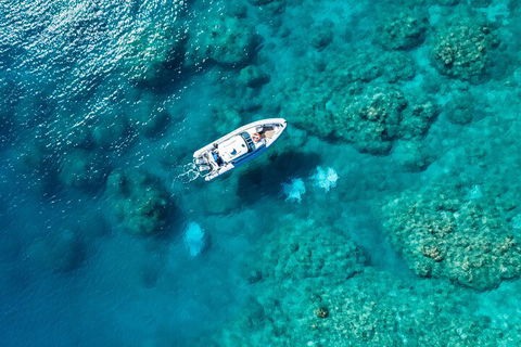 Premium Private Charter - Pubs and Clubs 0