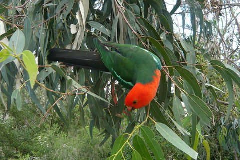 3-Day Private Adelaide To Melbourne Tour - Pubs and Clubs 0