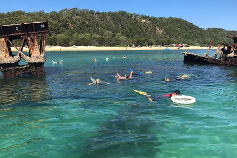 All Inclusive Dolphin And Tangalooma Wrecks Cruise - Pubs and Clubs 0