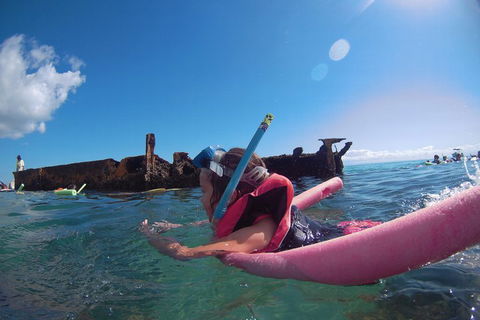 All Inclusive Dolphin And Tangalooma Wrecks Cruise - Pubs and Clubs 2