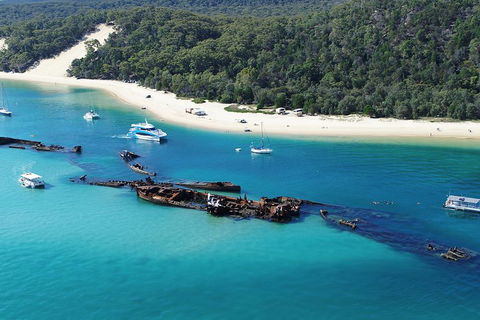 All Inclusive Dolphin And Tangalooma Wrecks Cruise - Pubs and Clubs 4