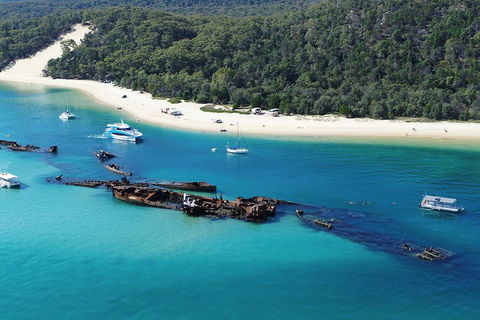 All Inclusive Tangalooma Wrecks Cruise Tour From Gold Coast - Pubs and Clubs 0
