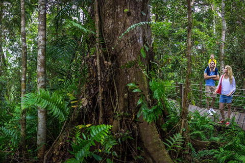 Kuranda Day Tour + HotAir Balloon Combo - Pubs and Clubs 3