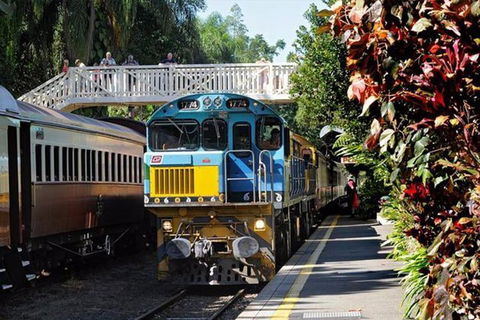 Kuranda Day Tour + HotAir Balloon Combo - Pubs and Clubs 4